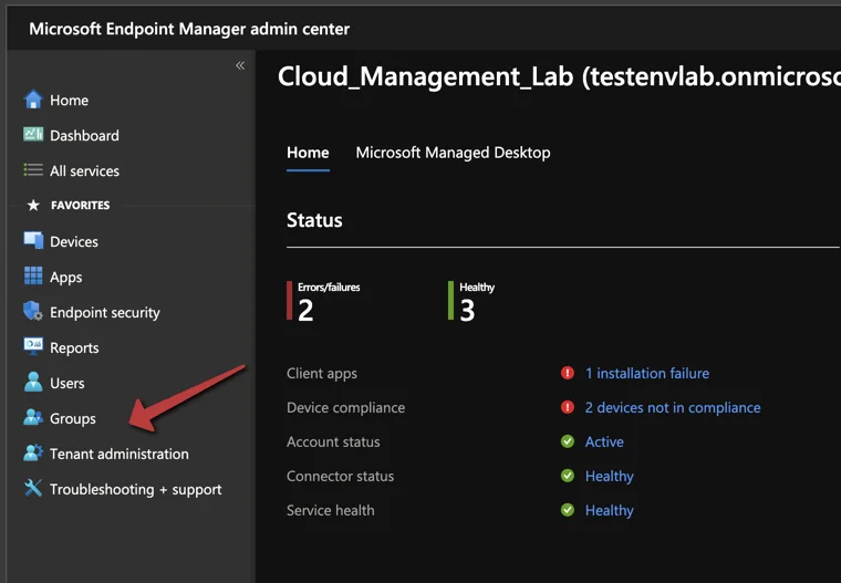Windows 11 Geräte mit Intune gruppieren