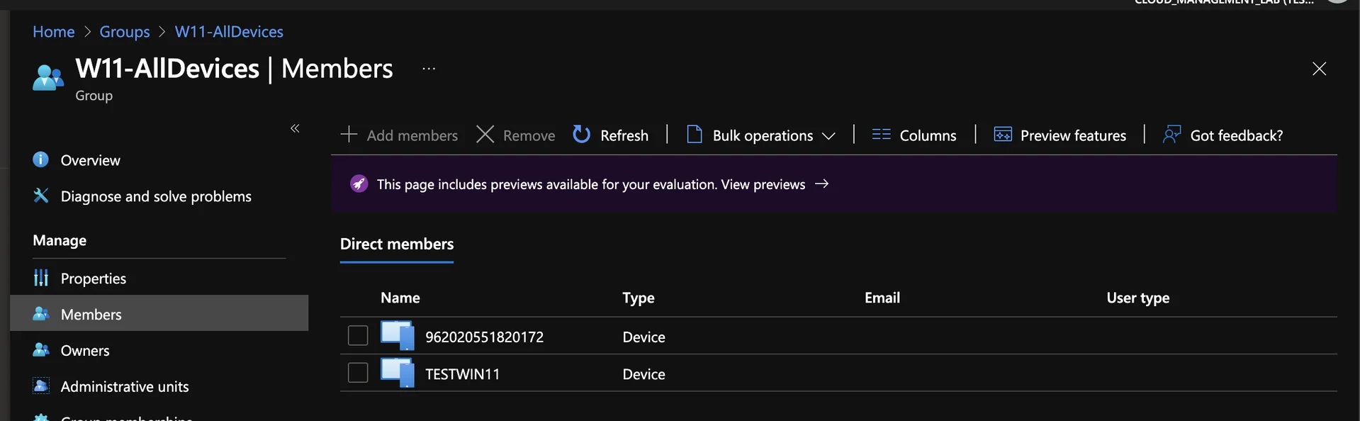 Windows 11 Geräte mit Intune gruppieren