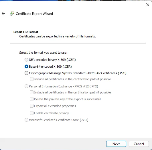 Intune Endpoint Privilege Management: Einrichtungsanleitung